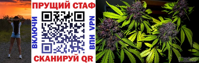 ГАШИШ Берёзовский