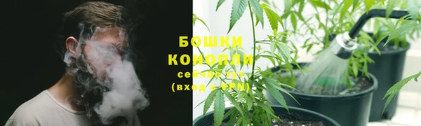 гидропоника Алексин