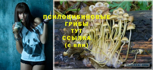 гидропоника Алексин
