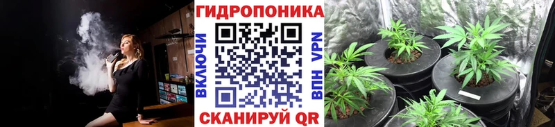 МАРИХУАНА план Берёзовский